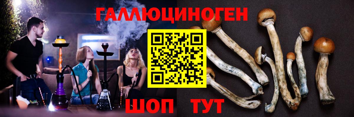 Псилоцибиновые грибы Psilocybine cubensis Тула